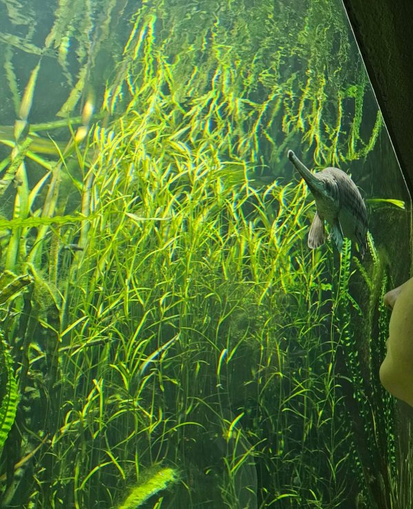 Ausflug in den Zoo Basel